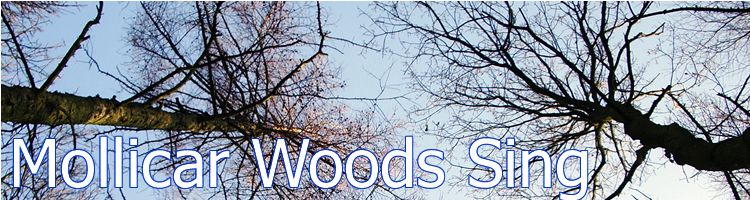The Mollicar Woods Sing organised by Almondbury Methodist Church
